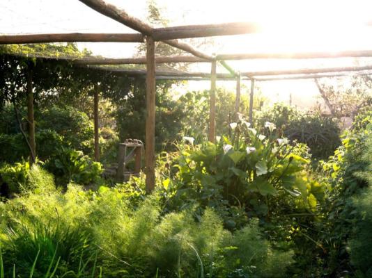 The Good Earth Farm - 269851
