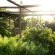 The Good Earth Farm - 269851