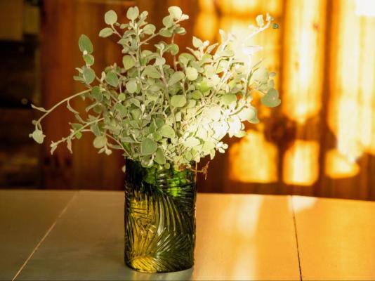 The Good Earth Farm - 269856
