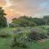 The Good Earth Farm - 269863