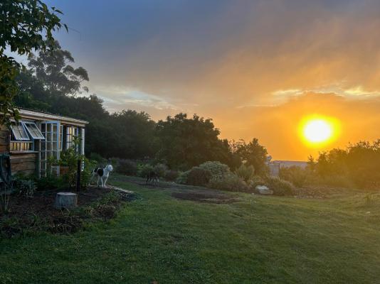 The Good Earth Farm - 269865