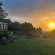 The Good Earth Farm - 269865