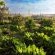 The Good Earth Farm - 269867