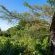 The Good Earth Farm - 269895