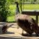 Airport Bird & Game Lodge - 270228
