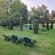 Airport Bird & Game Lodge - 270230