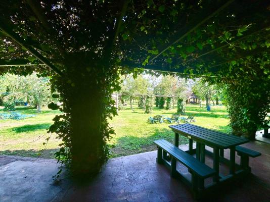 Airport Bird & Game Lodge - 270256