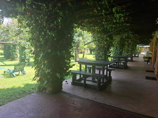 Room image 5