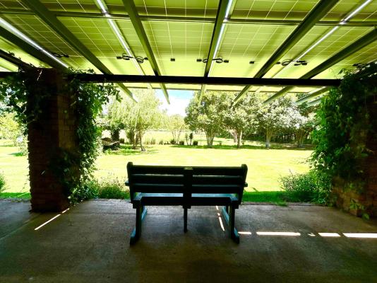 Airport Bird & Game Lodge - 270277