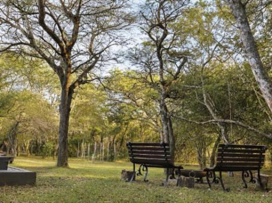 Ihlathi Lodge - Garden