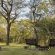 Ihlathi Lodge - Garden