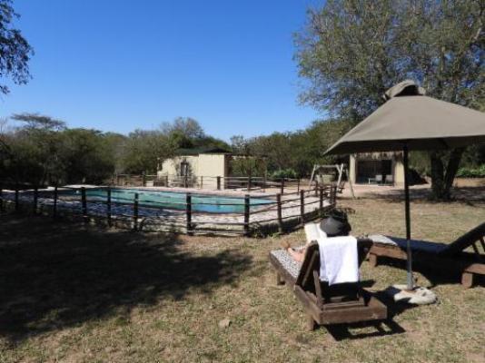 Masango Lodge - Swimming pool