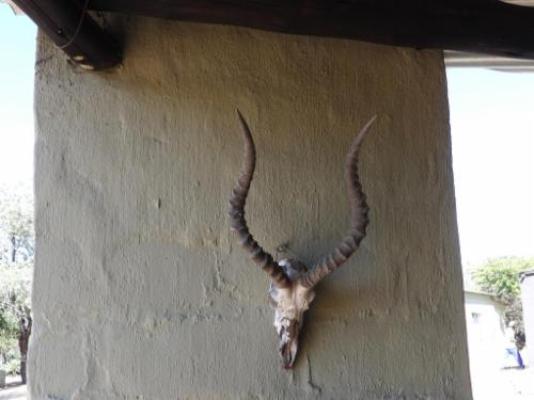 Masango Lodge - Property / Building