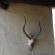 Masango Lodge - Property / Building
