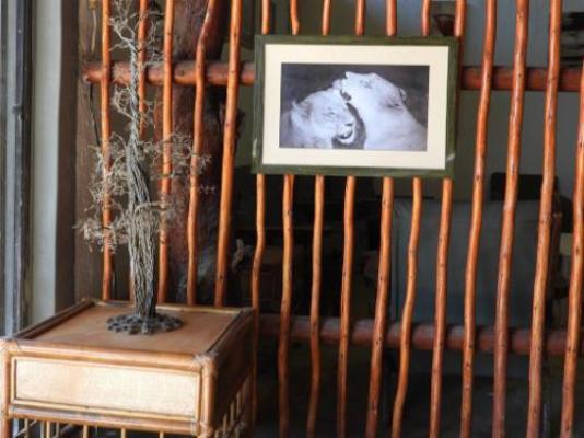 Masango Lodge - Decorative detail