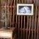 Masango Lodge - Decorative detail