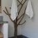 Masango Lodge - 270359