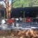 Hartbeespoort Country Hotel & Spa - Property / Building