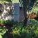Hartbeespoort Country Hotel & Spa - 270457