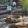 Hartbeespoort Country Hotel & Spa - 270576