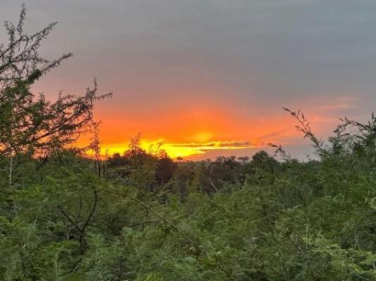 Kruger Afrique Lodge - Natural landscape