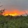 Kruger Afrique Lodge - Natural landscape