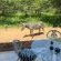 Kruger Afrique Lodge - 270670