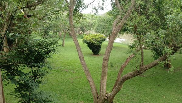 Hippo Water Front Lodge - 270820