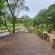 Hippo Water Front Lodge - 270821