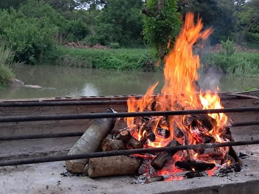 Hippo Water Front Lodge - 270823