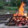 Hippo Water Front Lodge - 270823