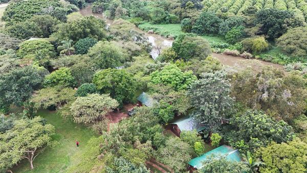 Hippo Water Front Lodge - 270826