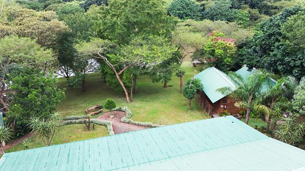 Hippo Water Front Lodge - 270827