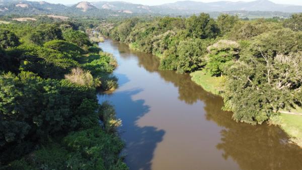 Hippo Water Front Lodge - 270829