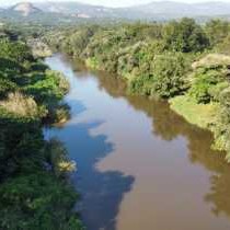 Hippo Water Front Lodge - 270829