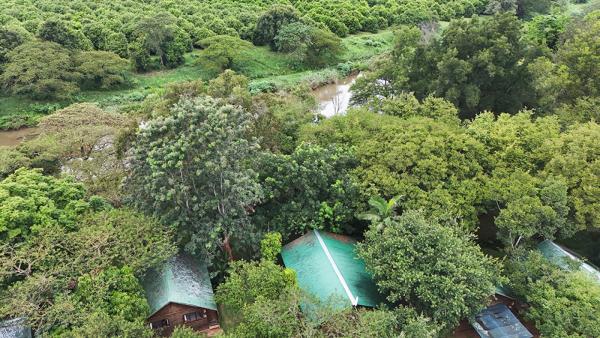Hippo Water Front Lodge - 270832
