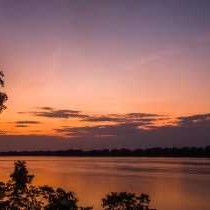 Mvuu Lodge - 270836
