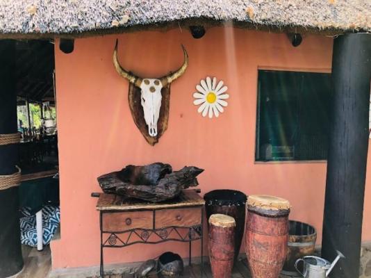 Mvuu Lodge - 270837
