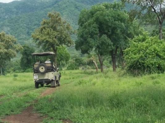 Mvuu Lodge - 270840