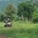 Mvuu Lodge - 270840