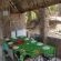 Mvuu Lodge - 270843