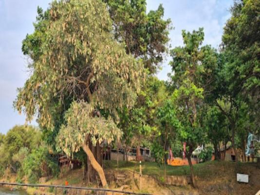 Mvuu Lodge - 270844