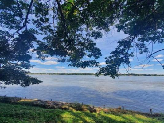 Mvuu Lodge - 270846