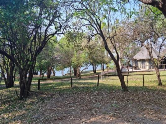Mvuu Lodge - 270848