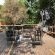 Mvuu Lodge - 270849