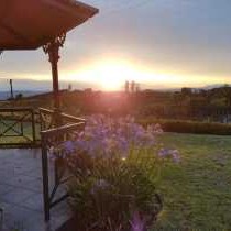 Sherwoods Country House - 270948
