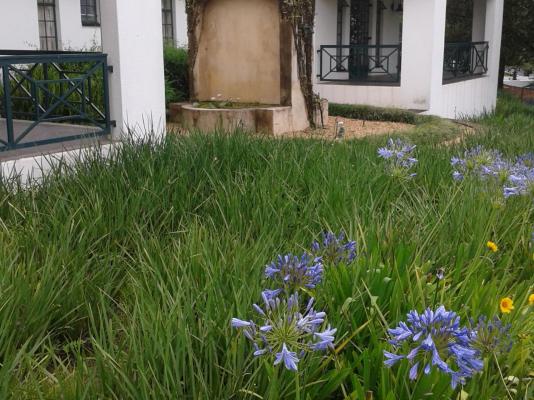 Sherwoods Country House - 270956