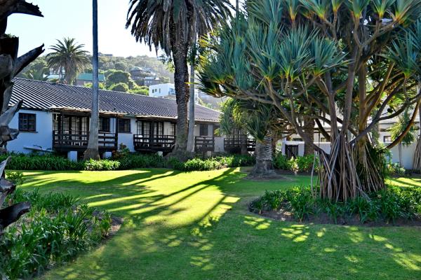 ANEW Resort Wilderness - 271037