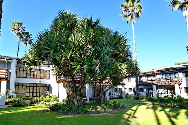 ANEW Resort Wilderness - 271038
