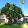 ANEW Resort Wilderness - 271038